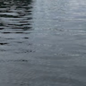 Meet your Posher, Eva